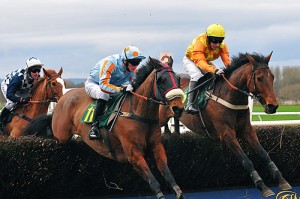 horses-vegaseddie horses-vegaseddie