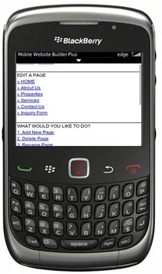 Blackberry-MTNL